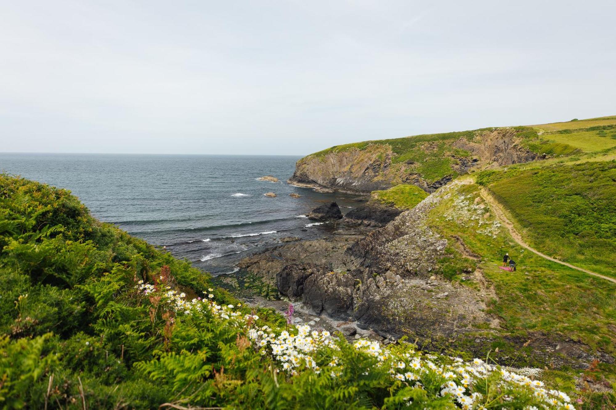 Cliff-Top Cottage On Coast Path W/Panoramic Views Trevine Экстерьер фото